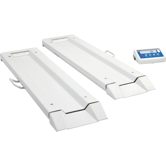 C315.8B.300.C-1 Ramps Bed Scale